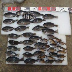 のとじま臨海公園海づりセンター 釣果