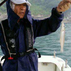 釣り船くわだ 釣果