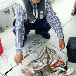 釣り船くわだ 釣果