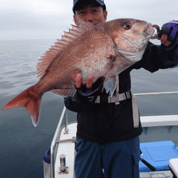 遊漁船ブルーウッズ 釣果