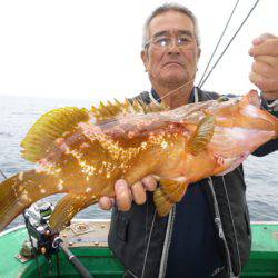 真祐丸 (しんゆうまる) 釣果