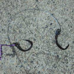 フィッシングハウス伊藤 釣果