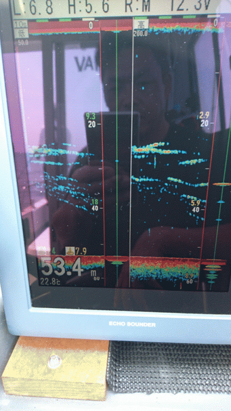 遊漁船ブルーウッズ 釣果