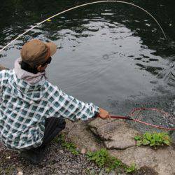 小菅トラウトガーデン 釣果