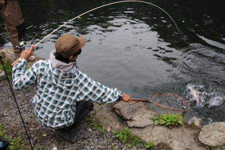 小菅トラウトガーデン 釣果