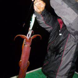 真祐丸 （しんゆうまる） 釣果