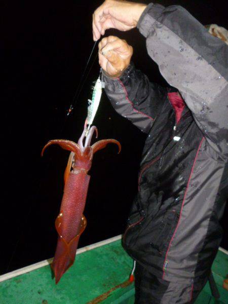 真祐丸 （しんゆうまる） 釣果