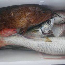 遊漁船 新鋭丸 釣果