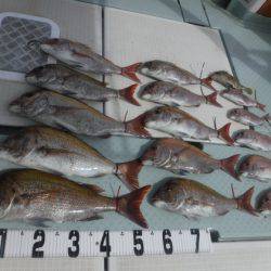 遊漁船 幸友丸 釣果