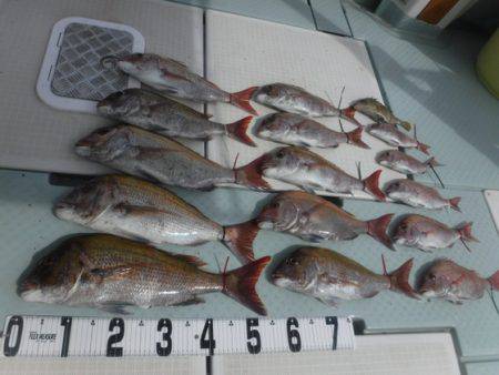 遊漁船 幸友丸 釣果