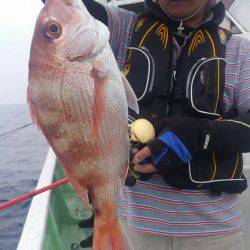 遊漁船 新鋭丸 釣果