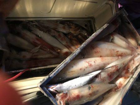 寿裕 （YOSHIHIRO） 釣果