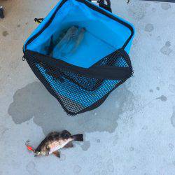 マラソン と釣り旅行