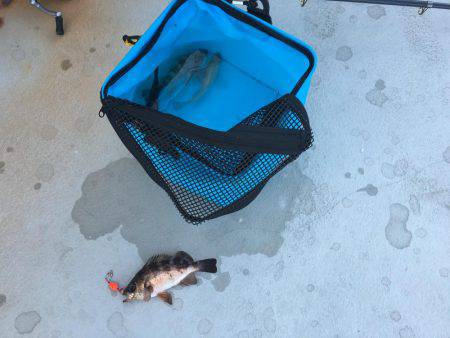 マラソン と釣り旅行