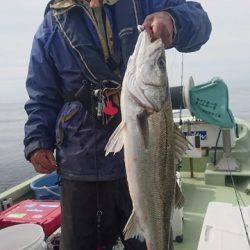 気仙沼 つり丸 釣果