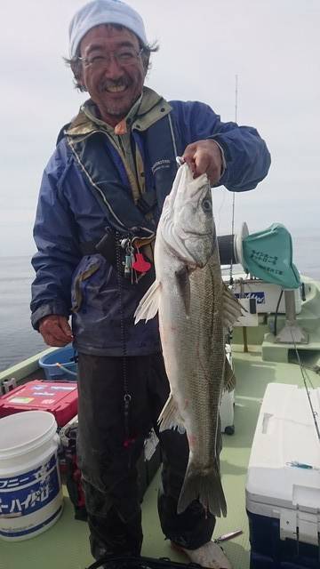 気仙沼　つり丸 釣果