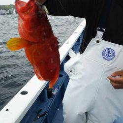 松栄丸 釣果