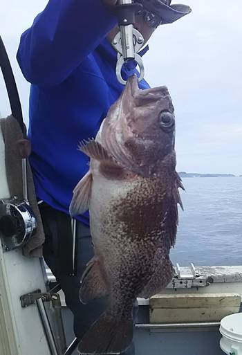 黒ひげ 釣果