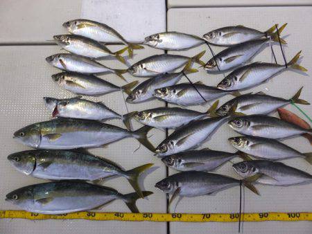 Hit Rush(ヒット ラッシュ） 釣果…