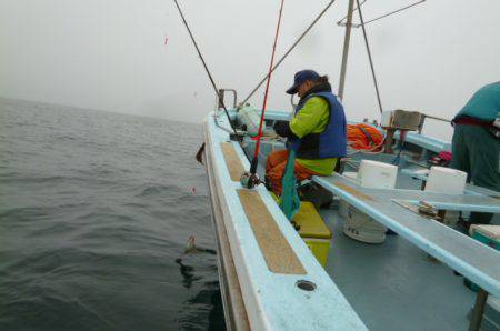 大吉丸 釣果