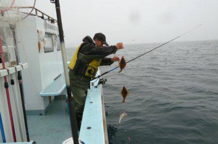 大吉丸 釣果