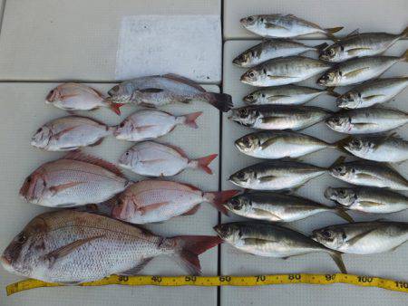 Hit Rush(ヒット ラッシュ） 釣果…