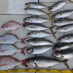 Hit Rush(ヒット ラッシュ) 釣果