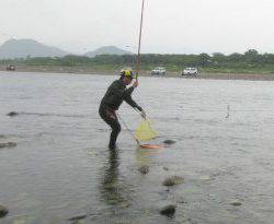 会津大川（会津非出資漁業協同組合） 釣果