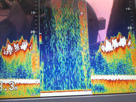 Hit Rush(ヒット ラッシュ) 釣果