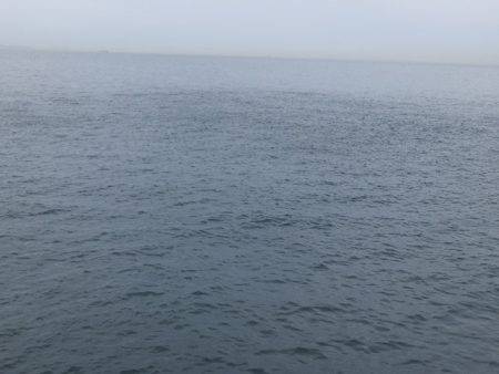 Hit Rush(ヒット ラッシュ) 釣果