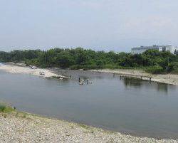 会津大川（会津非出資漁業協同組合） 釣果