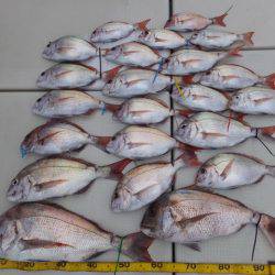 Hit Rush(ヒット ラッシュ） 釣果