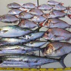 Hit Rush(ヒット ラッシュ） 釣果