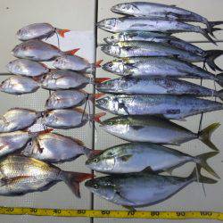 Hit Rush(ヒット ラッシュ） 釣果