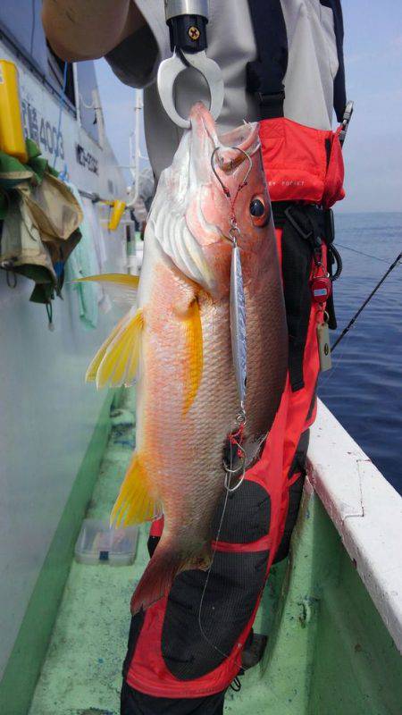 遊漁船 新鋭丸 釣果