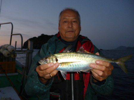 真祐丸 （しんゆうまる） 釣果