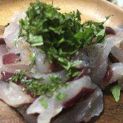 寿裕 （YOSHIHIRO） 釣果