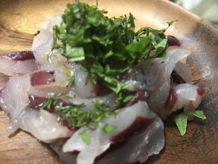 寿裕 （YOSHIHIRO） 釣果