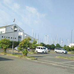 ミニツバスしか