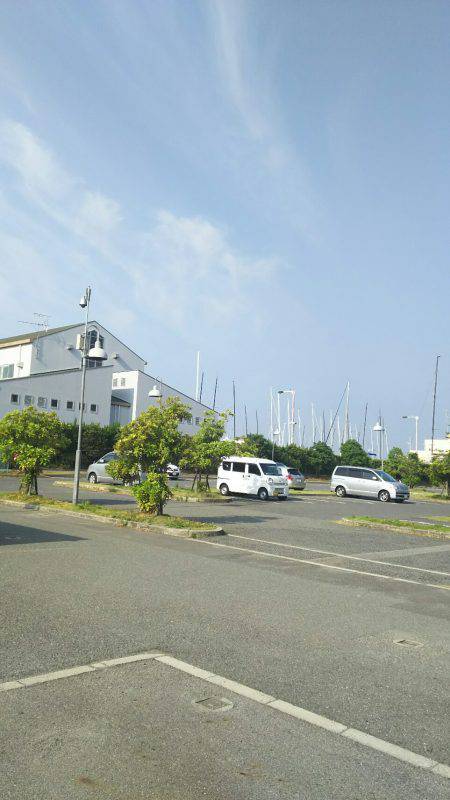 ミニツバスしか