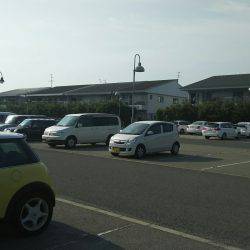 ミニツバスしか