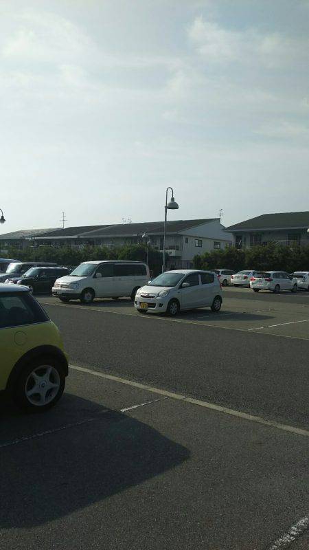 ミニツバスしか