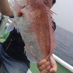 遊漁船 新鋭丸 釣果