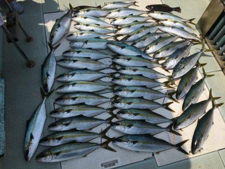 ふじしめ丸 釣果