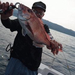 遊漁船ブルーウッズ 釣果