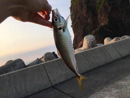 宝昌丸 釣果