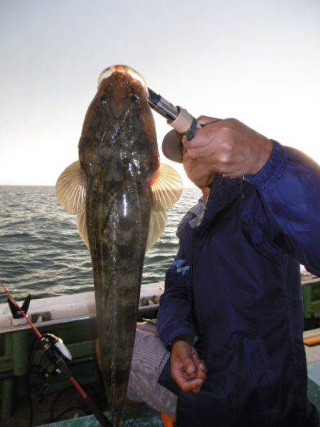 かもめ釣船 釣果