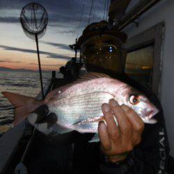 かもめ釣船 釣果