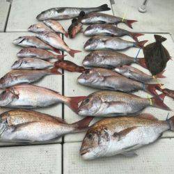 フィッシングガイド りょう 釣果