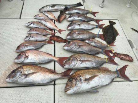 フィッシングガイド りょう 釣果